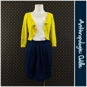 NWTs Anthro "Today & Yesterday Skirt" by Odille